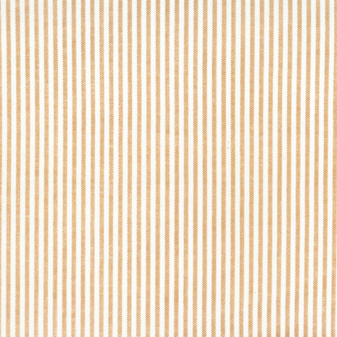 BASICRAIPACK_V4.jpg
