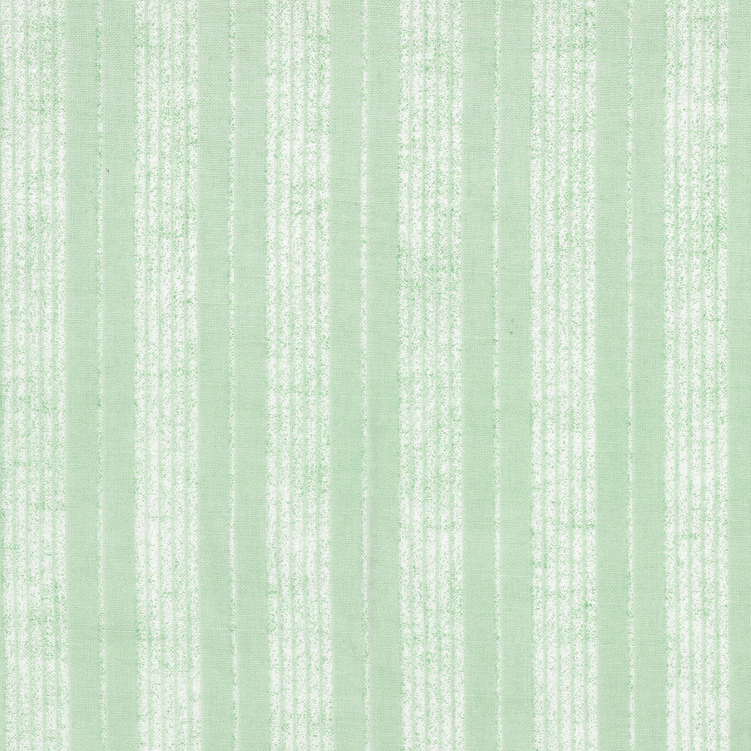 LINOLIP_V3.jpg