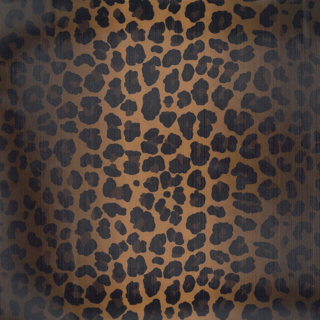ELO_LEOPARD_V1.jpg