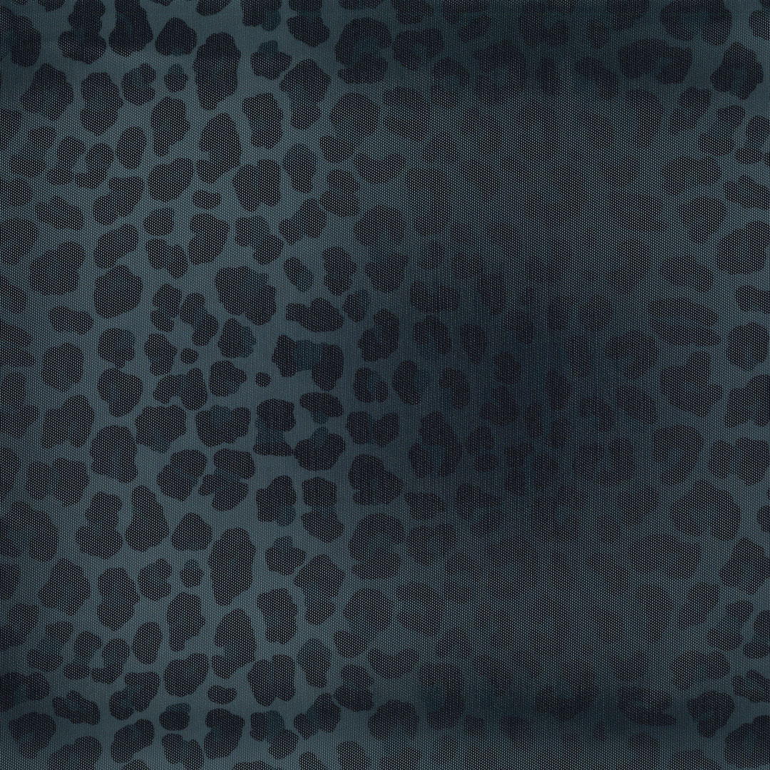 ELO_LEOPARD_V3.jpg
