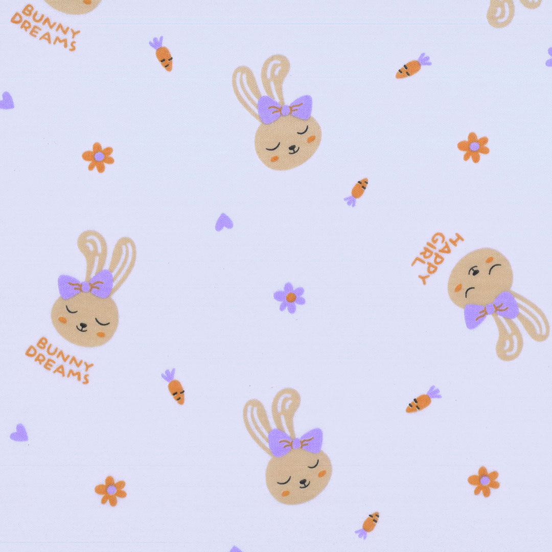 IBE_RABBITY_V3.jpg
