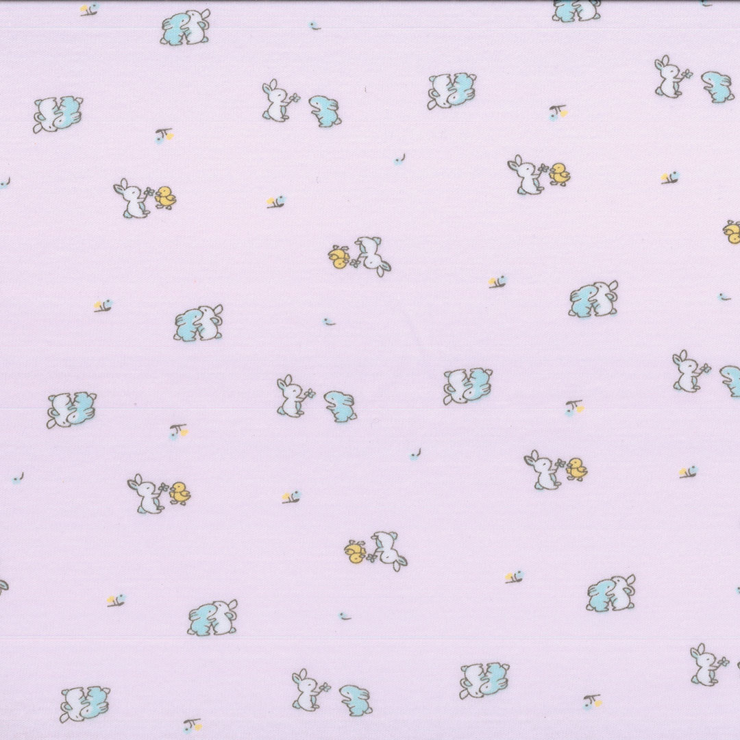IBE_COLORY_V3.jpg