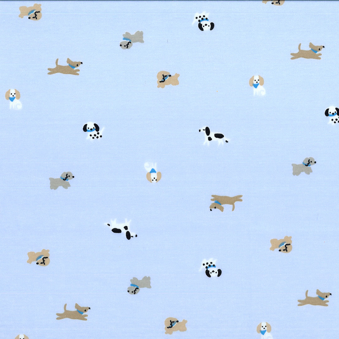 IBE_DOGPASI_V3.jpg