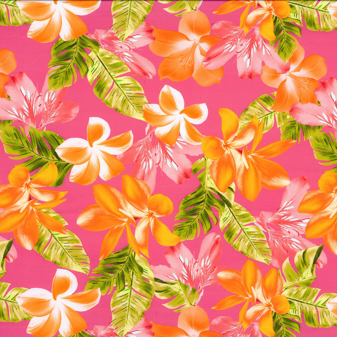 LOLATROPICAL_V2.jpg