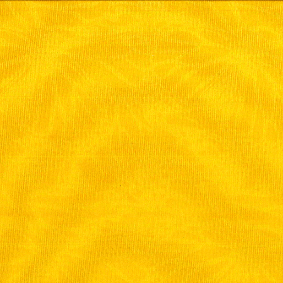 MONCOLOR_V1.jpg