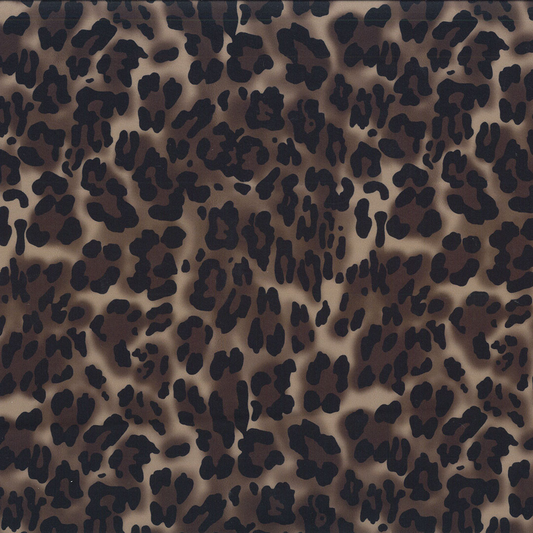 MO_LEOPARD_V1.jpg